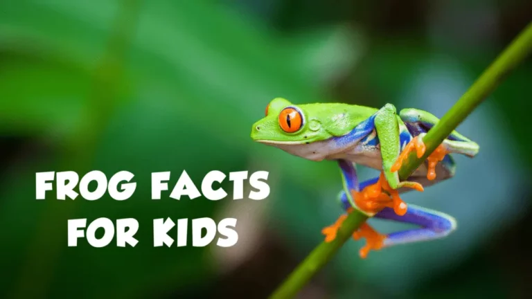 Frog Facts for Kids