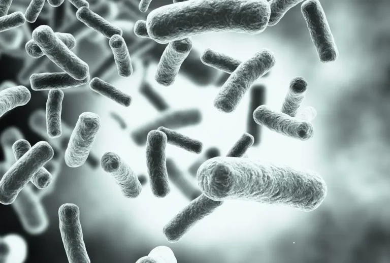 Facts About Eubacteria